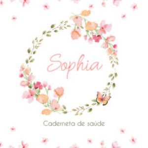 Caderneta de saúde e outros cerejeira