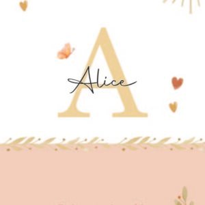 Caderneta de saúde e outros inicial boho