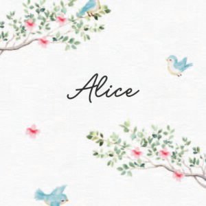 Caderneta de saúde e outros passarinho