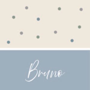 Caderneta de saúde e outros minimalista poá