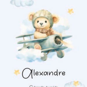 Caderneta de saúde e outros urso aviador