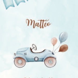 Caderneta de saúde e outros carro