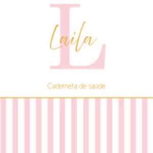 Caderneta de saúde e outros inicial minimalista listra rosa