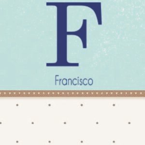 Caderneta de saúde e outros minimalista inicial poá