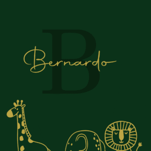 Caderneta de saúde e outros safari minimalista