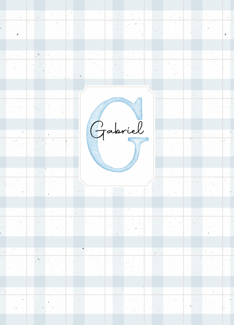 Caderneta de saúde e outros xadrez azul