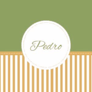 Caderneta de saúde e outros minimalista listra verde