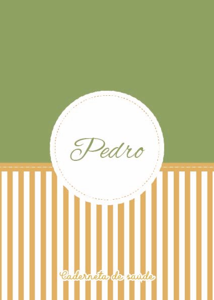 Caderneta de saúde e outros minimalista listra verde