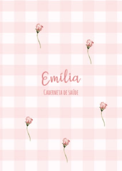Caderneta de saúde e outros minimalista rosas